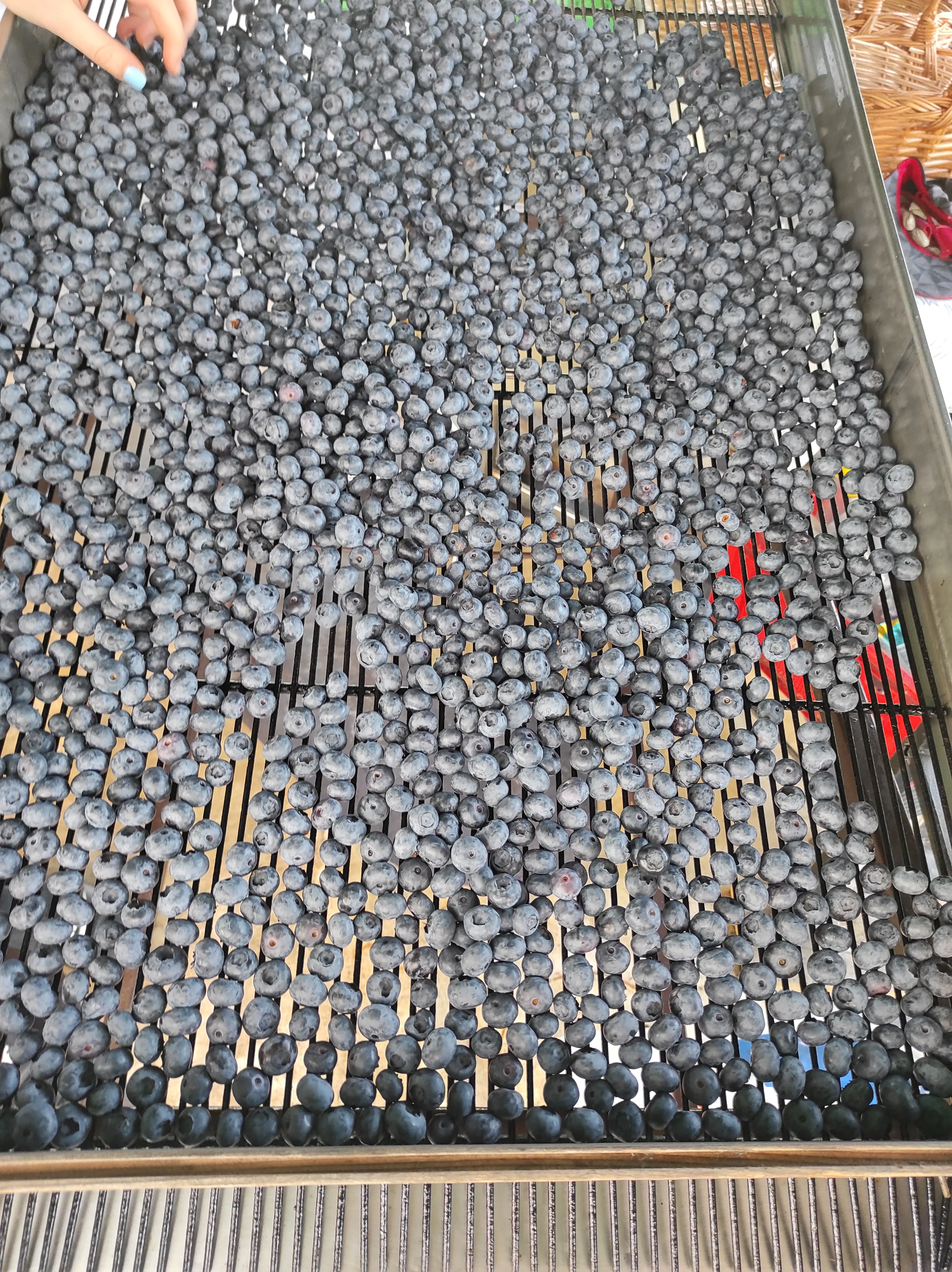 Galerija Lavrinc – harvest3