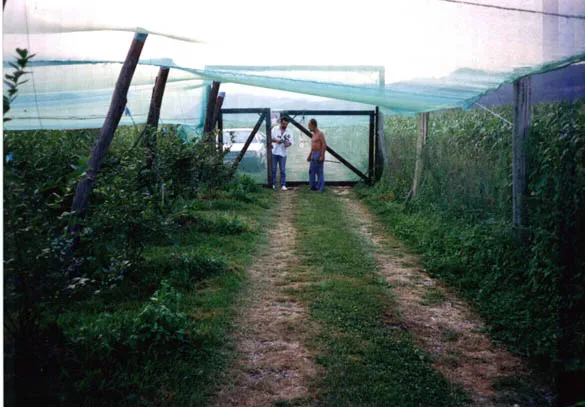 Galerija Lavrinc – photo1