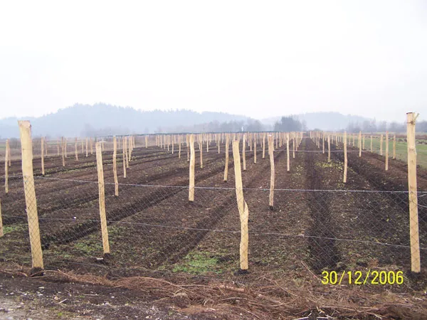 Galerija Lavrinc – photo2